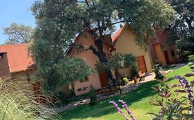 CABAÑAS SAN MATEO en mazamitla